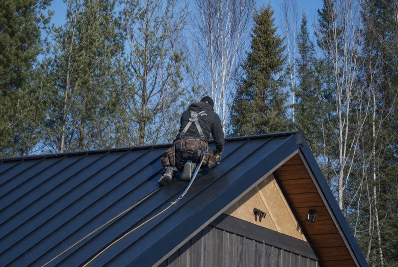 A roofer in a harness fastening dark steel roof panels, with pine and birch trees behind