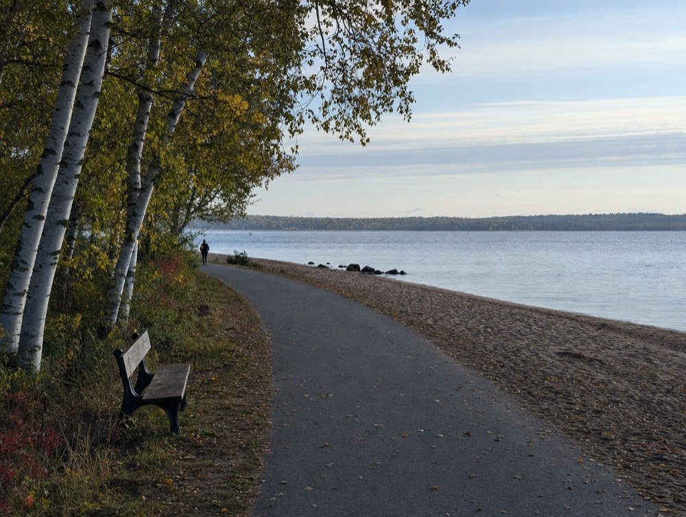 A paved lakeside path by a sandy beach and birch trees, one bench facing open water